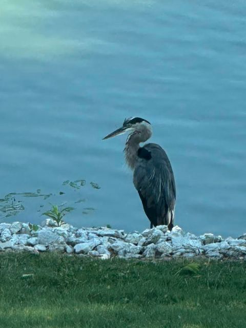 Tiny photo for 0N132 Ennerdale Lane #1407, Winfield, IL 60190 (MLS # 12605232)