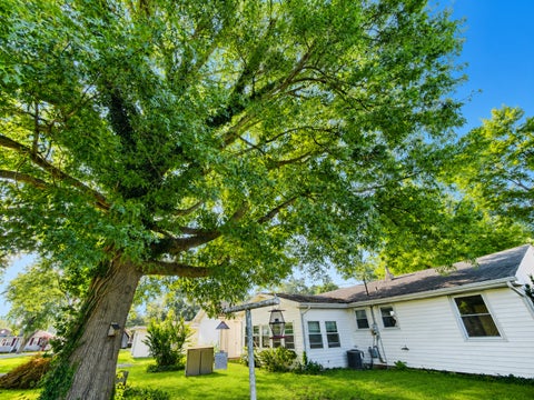 Tiny photo for 310 Hickory Street, Flora, IL 62839 (MLS # 12706839)