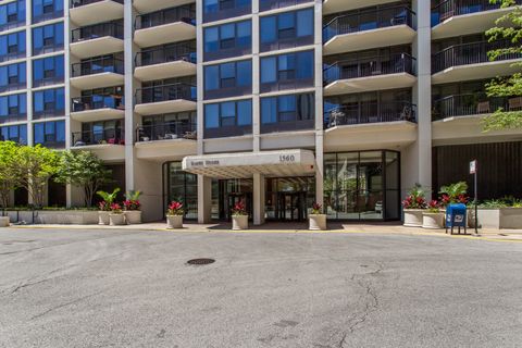 1560 N Sandburg Terrace 4011J Chicago IL 60610