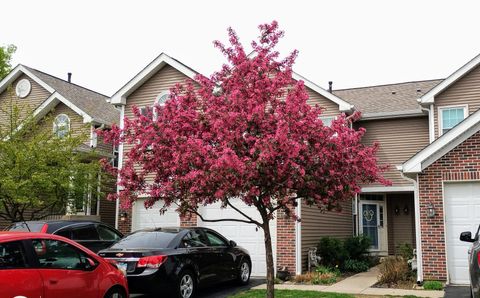 1373 Grayshire Court Elgin IL 60120