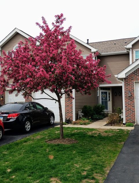 1373 Grayshire Court Elgin IL 60120