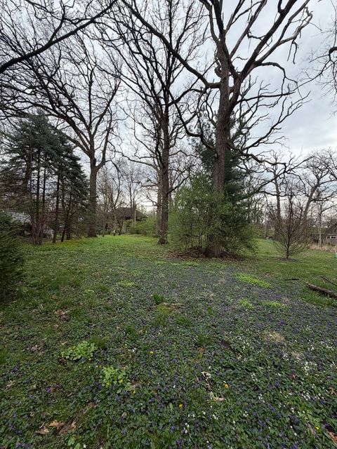 Tiny photo for 11407 Hiawatha Lane, Indian Head Park, IL 60525 (MLS # 12621294)