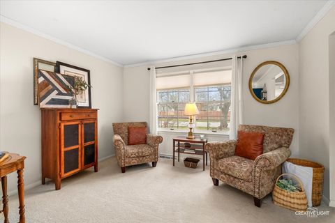 Tiny photo for 105 Wilson Place, Oswego, IL 60543 (MLS # 12594085)