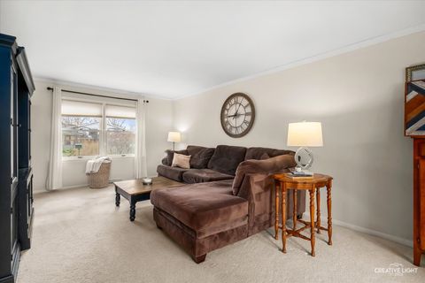 Tiny photo for 105 Wilson Place, Oswego, IL 60543 (MLS # 12594085)