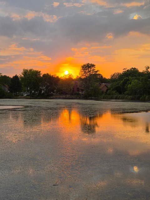 Tiny photo for 779 Feather Sound Drive, Bolingbrook, IL 60440 (MLS # 12723659)