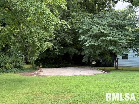 Tiny photo for 716 NORTH Street, Mt Vernon, IL 62864 (MLS # EB458929)