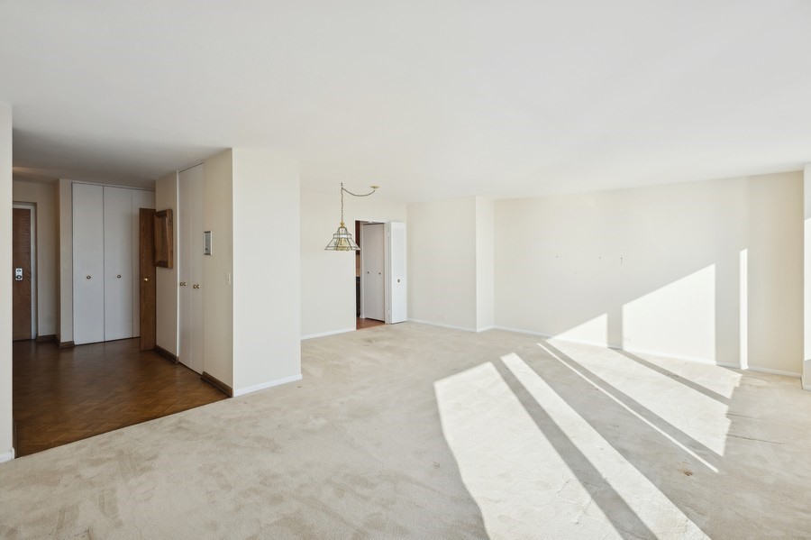 155 N HARBOR Drive 1111