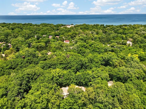 Tiny photo for 327 Marshman Avenue, Highland Park, IL 60035 (MLS # 12769637)