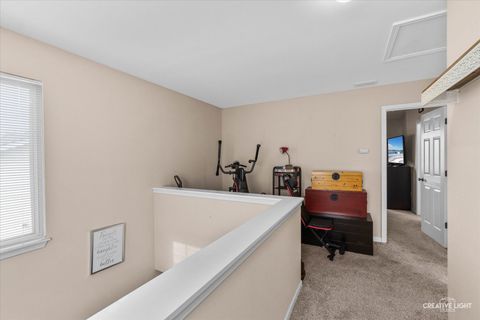Tiny photo for Plano, IL 60545 (MLS # 12515906)