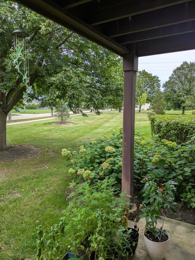 199 Lawn Court 199