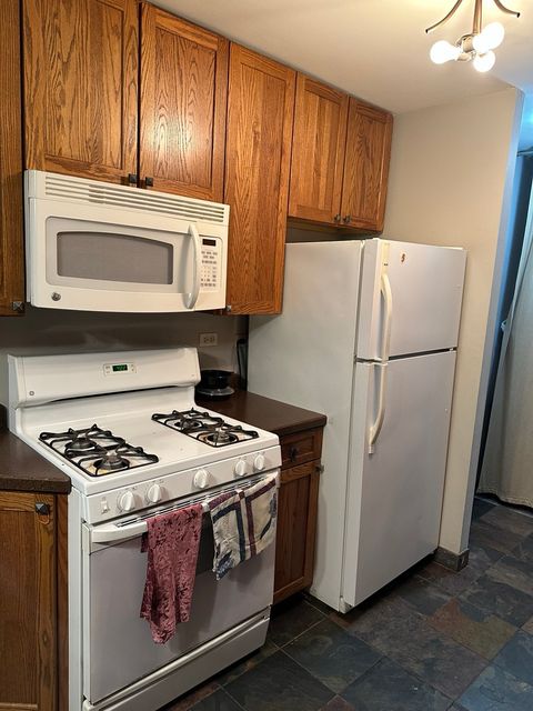 Tiny photo for Chicago, IL 60631 (MLS # 12630963)