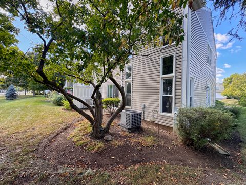 Tiny photo for 730 Hamilton Circle, Schaumburg, IL 60194 (MLS # 12522543)