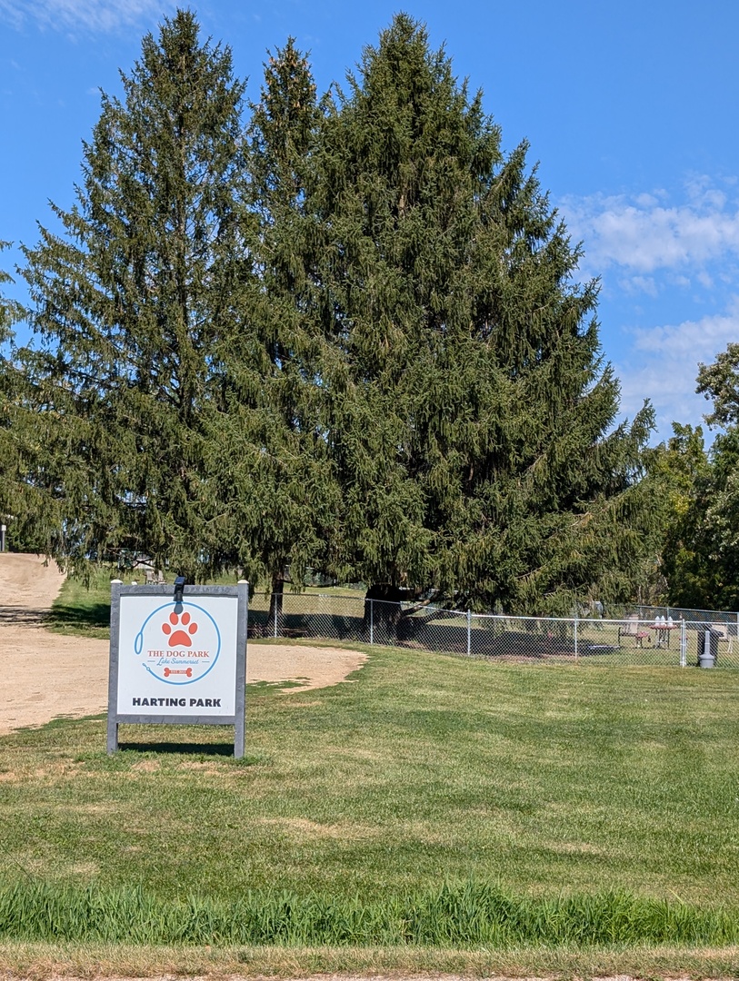 Lake Summerset, Illinois 61019, United States, ,Land,Active,147256