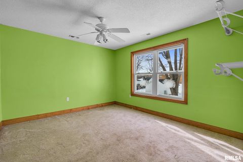 Tiny photo for 217 N 5TH Avenue, New Windsor, IL 61465 (MLS # QC4260588)