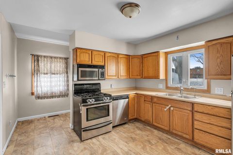 Tiny photo for 217 N 5TH Avenue, New Windsor, IL 61465 (MLS # QC4260588)