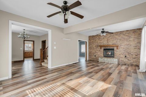 Tiny photo for 217 N 5TH Avenue, New Windsor, IL 61465 (MLS # QC4260588)