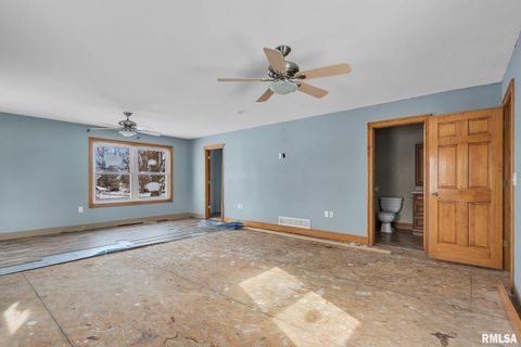 Tiny photo for 217 N 5TH Avenue, New Windsor, IL 61465 (MLS # QC4260588)