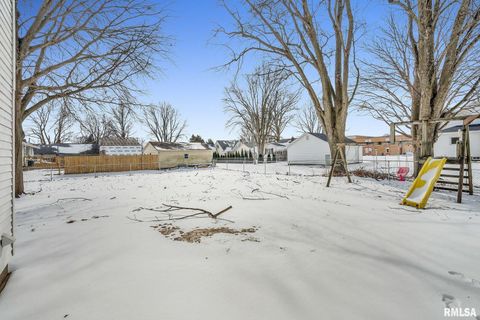 Tiny photo for 217 N 5TH Avenue, New Windsor, IL 61465 (MLS # QC4260588)