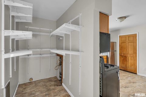 Tiny photo for 217 N 5TH Avenue, New Windsor, IL 61465 (MLS # QC4260588)