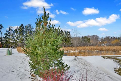 Tiny photo for 2 Potter Court, Hawthorn Woods, IL 60047 (MLS # 12588081)