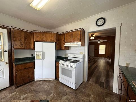 Tiny photo for 1520 Gartside Street, Murphysboro, IL 62966 (MLS # EB458534)