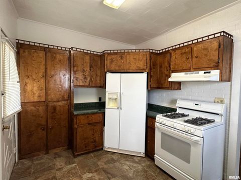 Tiny photo for 1520 Gartside Street, Murphysboro, IL 62966 (MLS # EB458534)