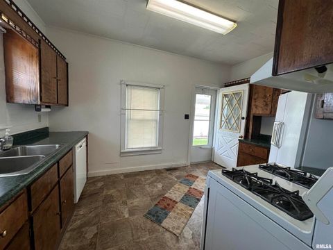 Tiny photo for 1520 Gartside Street, Murphysboro, IL 62966 (MLS # EB458534)