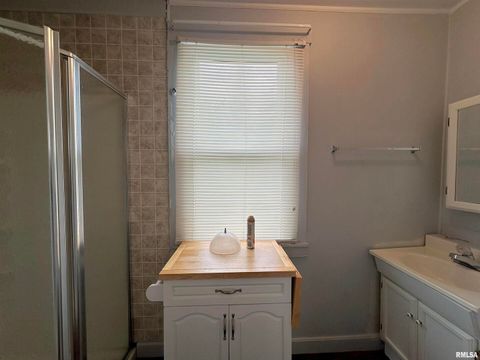 Tiny photo for 1520 Gartside Street, Murphysboro, IL 62966 (MLS # EB458534)