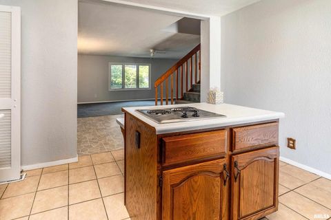 Tiny photo for 1206 W Goodall Street, Marion, IL 62959 (MLS # EB460169)