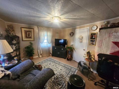 Tiny photo for 118 MISSOURI Street, Pinckneyville, IL 62274 (MLS # EB459697)