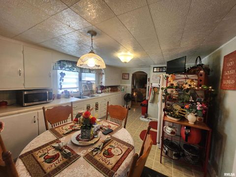 Tiny photo for 118 MISSOURI Street, Pinckneyville, IL 62274 (MLS # EB459697)