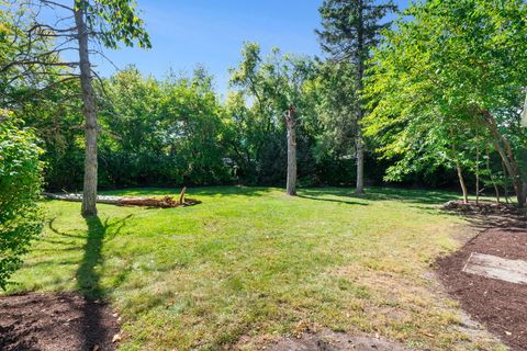 Tiny photo for 92-88 N AIRLITE Street, Elgin, IL 60123 (MLS # 12477649)