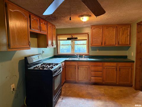 Tiny photo for 967 N Bunker Street, Equality, IL 62934 (MLS # EB460282)