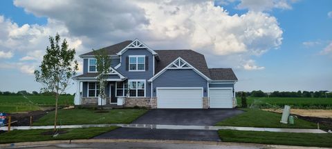 Photo of 2920 Amaranth Court, New Lenox, IL 60451 (MLS # 12559671)