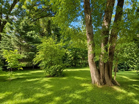Tiny photo for 2811 FOREST Lane, Waukegan, IL 60087 (MLS # 12711003)