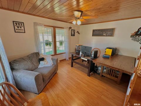 Tiny photo for 878 County Road 600 N, Sims, IL 62886 (MLS # EB460089)