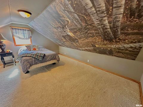 Tiny photo for 878 County Road 600 N, Sims, IL 62886 (MLS # EB460089)