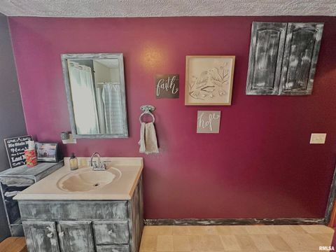 Tiny photo for 878 County Road 600 N, Sims, IL 62886 (MLS # EB460089)