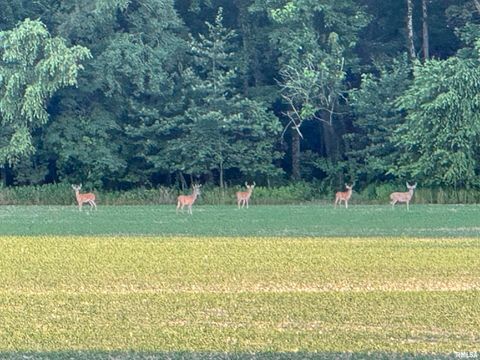 Tiny photo for 878 County Road 600 N, Sims, IL 62886 (MLS # EB460089)