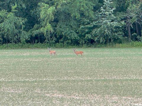 Tiny photo for 878 County Road 600 N, Sims, IL 62886 (MLS # EB460089)