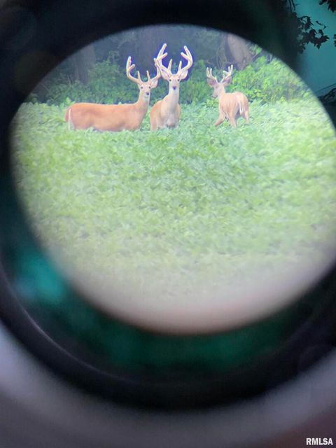 Tiny photo for 878 County Road 600 N, Sims, IL 62886 (MLS # EB460089)