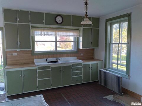 Tiny photo for 1018 8TH Avenue, Fulton, IL 61252 (MLS # QC4247419)