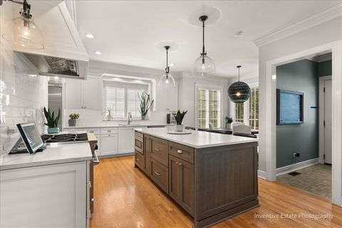 Tiny photo for 626 S BODIN Street, Hinsdale, IL 60521 (MLS # 12481852)