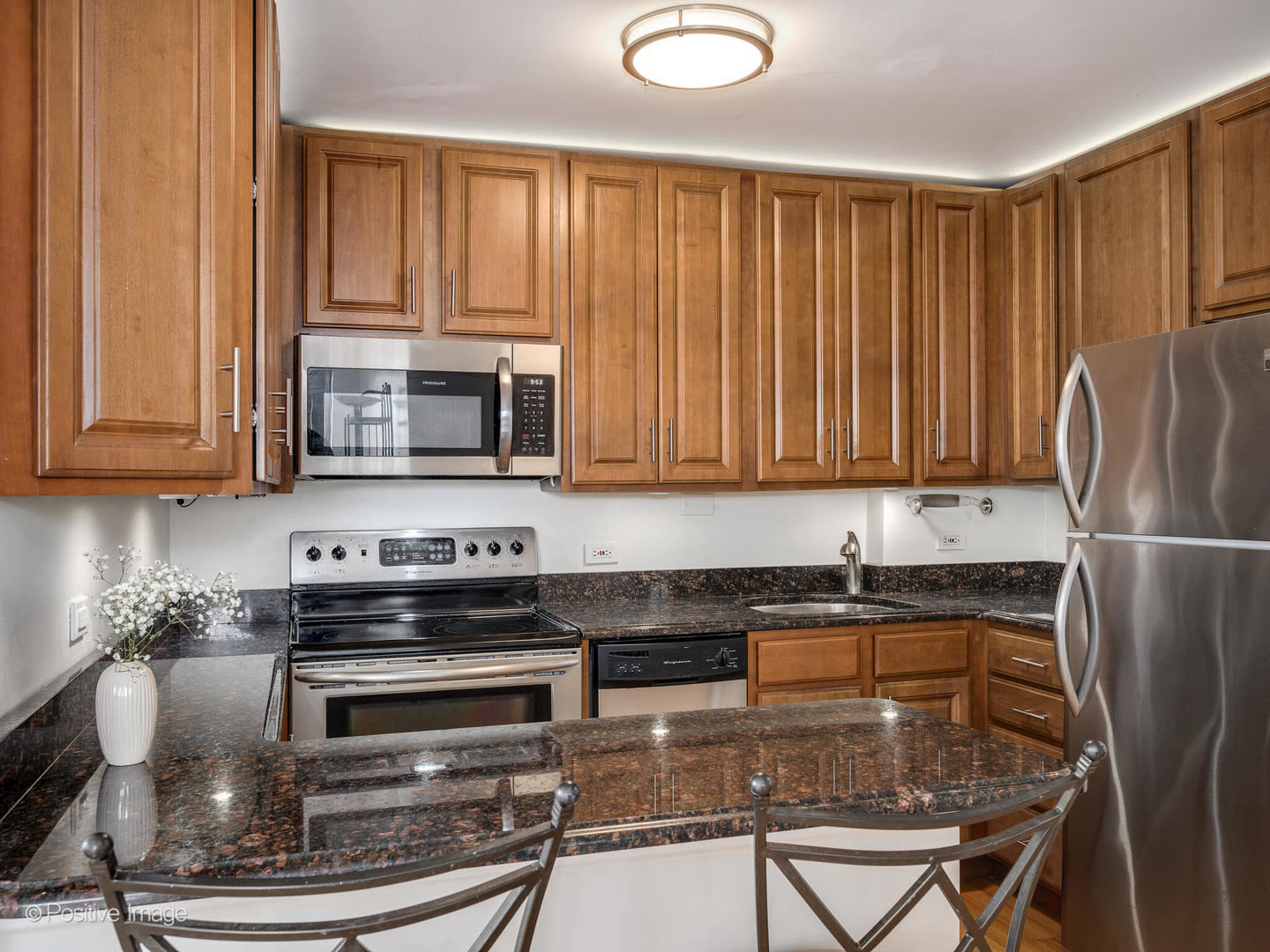1455 N Sandburg Terrace 2009