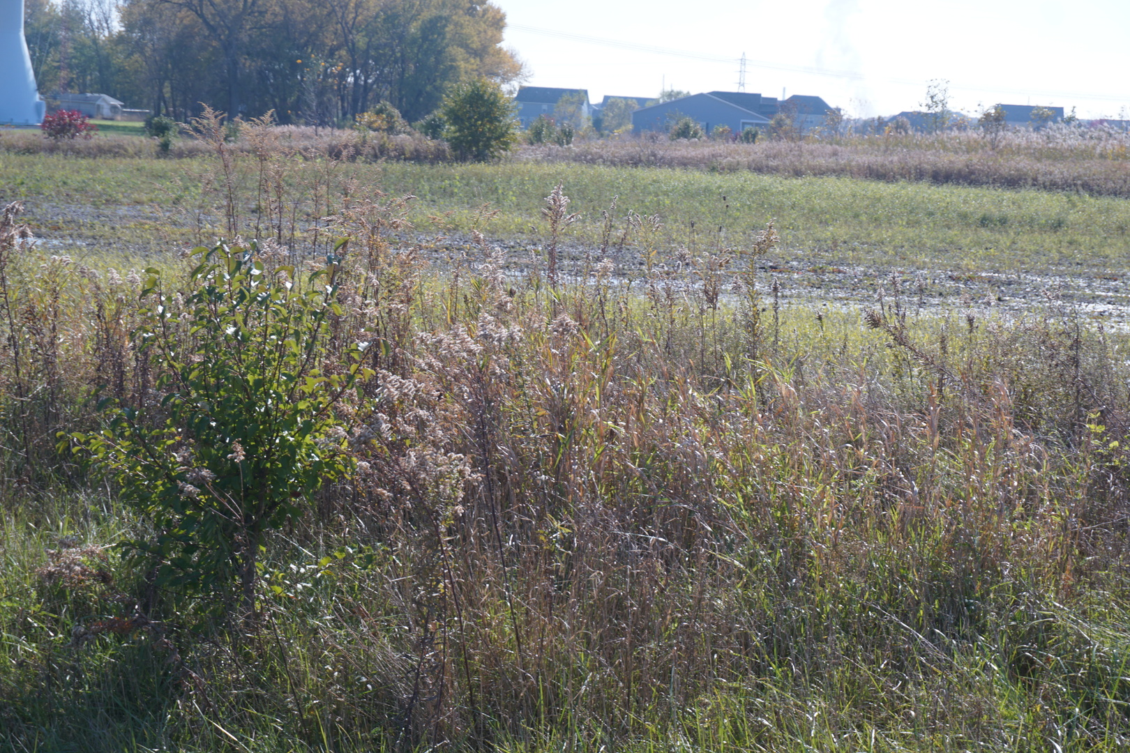 Lot8 and Lot9 Us Rte 6 Ridge Road