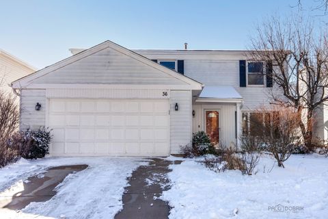 36 MONTEREY Drive E Vernon Hills IL 60061
