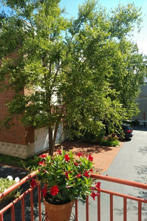 Tiny photo for 1853 Prairie Street, Glenview, IL 60025 (MLS # 12577410)