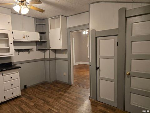 Tiny photo for 1028 S ROOSEVELT Street, Harrisburg, IL 62946 (MLS # EB460364)