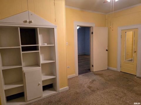 Tiny photo for 1028 S ROOSEVELT Street, Harrisburg, IL 62946 (MLS # EB460364)