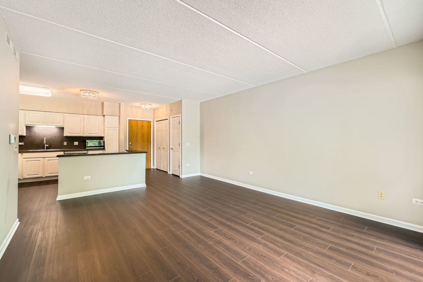 104 N Plum Grove Road 203